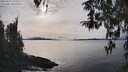 ./images/koeye/fitz-hugh/20260314/fitz-hugh20260314_163501M.jpg