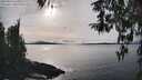 ./images/koeye/fitz-hugh/20260314/fitz-hugh20260314_164001M.jpg