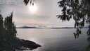 ./images/koeye/fitz-hugh/20260314/fitz-hugh20260314_164501M.jpg