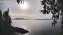 ./images/koeye/fitz-hugh/20260314/fitz-hugh20260314_165001M.jpg