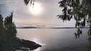 ./images/koeye/fitz-hugh/20260314/fitz-hugh20260314_165501M.jpg