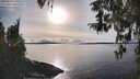./images/koeye/fitz-hugh/20260314/fitz-hugh20260314_170501M.jpg
