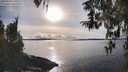 ./images/koeye/fitz-hugh/20260314/fitz-hugh20260314_171001M.jpg