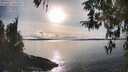 ./images/koeye/fitz-hugh/20260314/fitz-hugh20260314_172001M.jpg