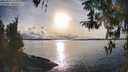 ./images/koeye/fitz-hugh/20260314/fitz-hugh20260314_174001M.jpg