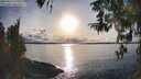 ./images/koeye/fitz-hugh/20260314/fitz-hugh20260314_174501M.jpg