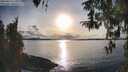 ./images/koeye/fitz-hugh/20260314/fitz-hugh20260314_175001M.jpg