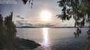 ./images/koeye/fitz-hugh/20260314/fitz-hugh20260314_175502M.jpg