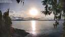 ./images/koeye/fitz-hugh/20260314/fitz-hugh20260314_180001M.jpg