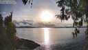 ./images/koeye/fitz-hugh/20260314/fitz-hugh20260314_180501M.jpg