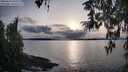 ./images/koeye/fitz-hugh/20260314/fitz-hugh20260314_182501M.jpg