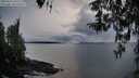 ./images/koeye/fitz-hugh/20260314/fitz-hugh20260314_192501M.jpg