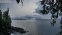 ./images/koeye/fitz-hugh/20260314/fitz-hugh20260314_193002M.jpg