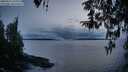 ./images/koeye/fitz-hugh/20260314/fitz-hugh20260314_194501M.jpg