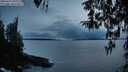 ./images/koeye/fitz-hugh/20260314/fitz-hugh20260314_195501M.jpg