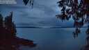 ./images/koeye/fitz-hugh/20260314/fitz-hugh20260314_200501M.jpg