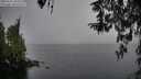 ./images/koeye/fitz-hugh/20260315/fitz-hugh20260315_104502M.jpg