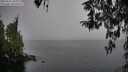 ./images/koeye/fitz-hugh/20260315/fitz-hugh20260315_105002M.jpg