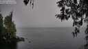 ./images/koeye/fitz-hugh/20260315/fitz-hugh20260315_112002M.jpg