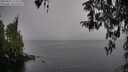 ./images/koeye/fitz-hugh/20260315/fitz-hugh20260315_113502M.jpg
