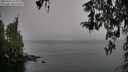 ./images/koeye/fitz-hugh/20260315/fitz-hugh20260315_124501M.jpg