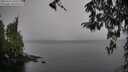 ./images/koeye/fitz-hugh/20260315/fitz-hugh20260315_130501M.jpg