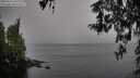 ./images/koeye/fitz-hugh/20260315/fitz-hugh20260315_131001M.jpg