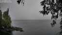 ./images/koeye/fitz-hugh/20260315/fitz-hugh20260315_140501M.jpg