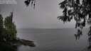 ./images/koeye/fitz-hugh/20260315/fitz-hugh20260315_144501M.jpg