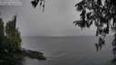./images/koeye/fitz-hugh/20260315/fitz-hugh20260315_151502M.jpg