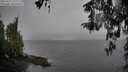 ./images/koeye/fitz-hugh/20260315/fitz-hugh20260315_152002M.jpg