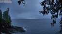 ./images/koeye/fitz-hugh/20260315/fitz-hugh20260315_194501M.jpg