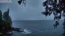 ./images/koeye/fitz-hugh/20260316/fitz-hugh20260316_074001M.jpg