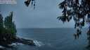 ./images/koeye/fitz-hugh/20260316/fitz-hugh20260316_074501M.jpg