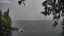 ./images/koeye/fitz-hugh/20260316/fitz-hugh20260316_094002M.jpg
