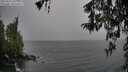 ./images/koeye/fitz-hugh/20260316/fitz-hugh20260316_100001M.jpg