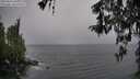./images/koeye/fitz-hugh/20260316/fitz-hugh20260316_100501M.jpg