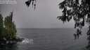 ./images/koeye/fitz-hugh/20260316/fitz-hugh20260316_102501M.jpg