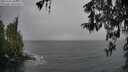 ./images/koeye/fitz-hugh/20260316/fitz-hugh20260316_105001M.jpg