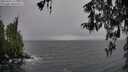 ./images/koeye/fitz-hugh/20260316/fitz-hugh20260316_111501M.jpg