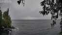 ./images/koeye/fitz-hugh/20260316/fitz-hugh20260316_113002M.jpg