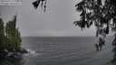 ./images/koeye/fitz-hugh/20260316/fitz-hugh20260316_115501M.jpg