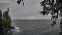 ./images/koeye/fitz-hugh/20260316/fitz-hugh20260316_120502M.jpg