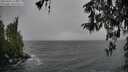 ./images/koeye/fitz-hugh/20260316/fitz-hugh20260316_124501M.jpg