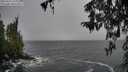 ./images/koeye/fitz-hugh/20260316/fitz-hugh20260316_135501M.jpg