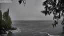 ./images/koeye/fitz-hugh/20260316/fitz-hugh20260316_140501M.jpg