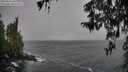 ./images/koeye/fitz-hugh/20260316/fitz-hugh20260316_141001M.jpg