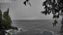 ./images/koeye/fitz-hugh/20260316/fitz-hugh20260316_141501M.jpg