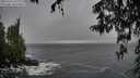 ./images/koeye/fitz-hugh/20260316/fitz-hugh20260316_142001M.jpg