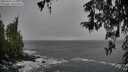 ./images/koeye/fitz-hugh/20260316/fitz-hugh20260316_143502M.jpg
